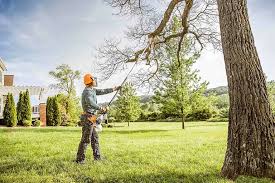 Reliable Mount Dora, FL Tree Removal and Landscaping Services Solutions